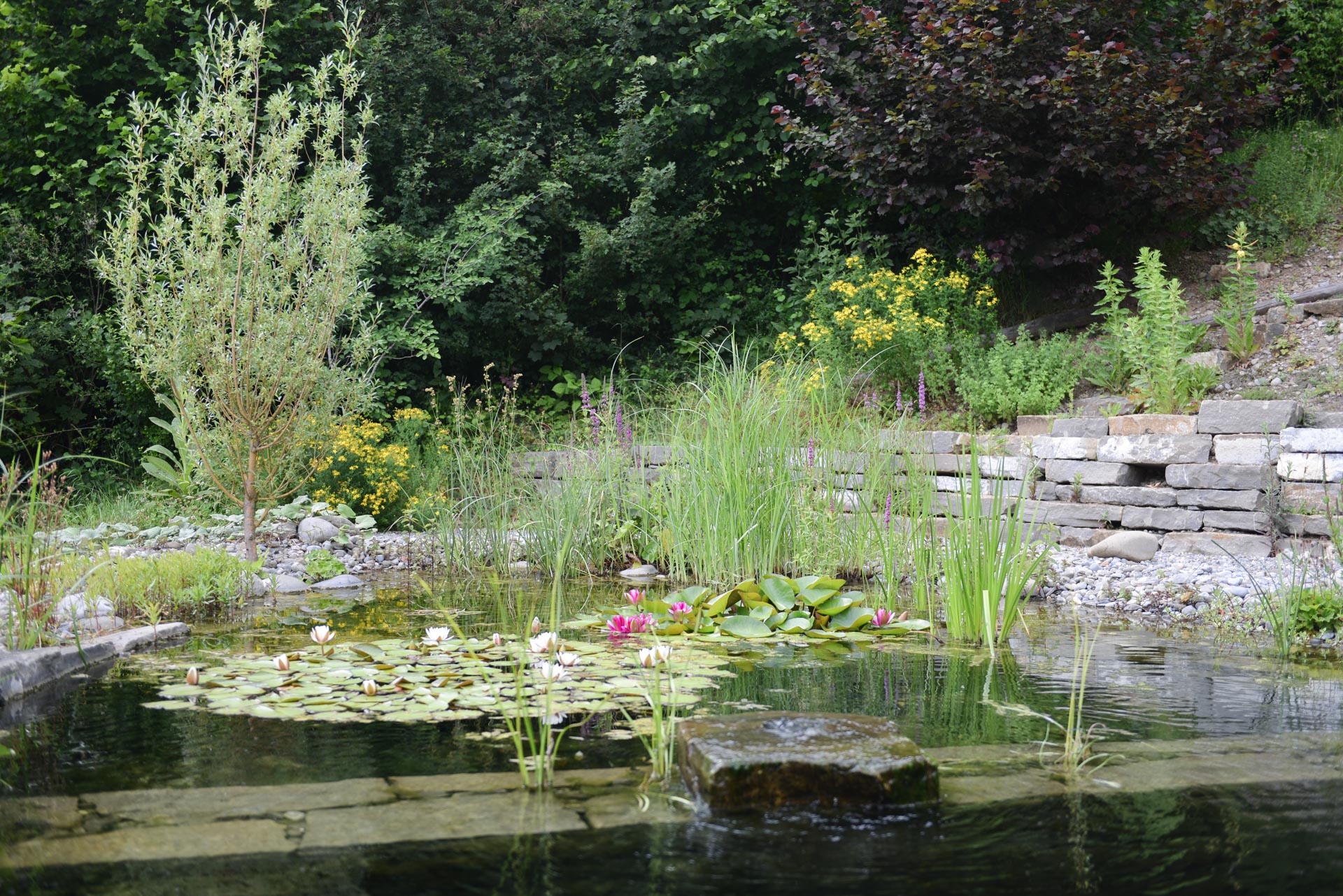 Bepflanzung: Ein sorgfältig bepflanzter Garten mit einer Vielfalt an Blumen und Sträuchern sowie einem Teich