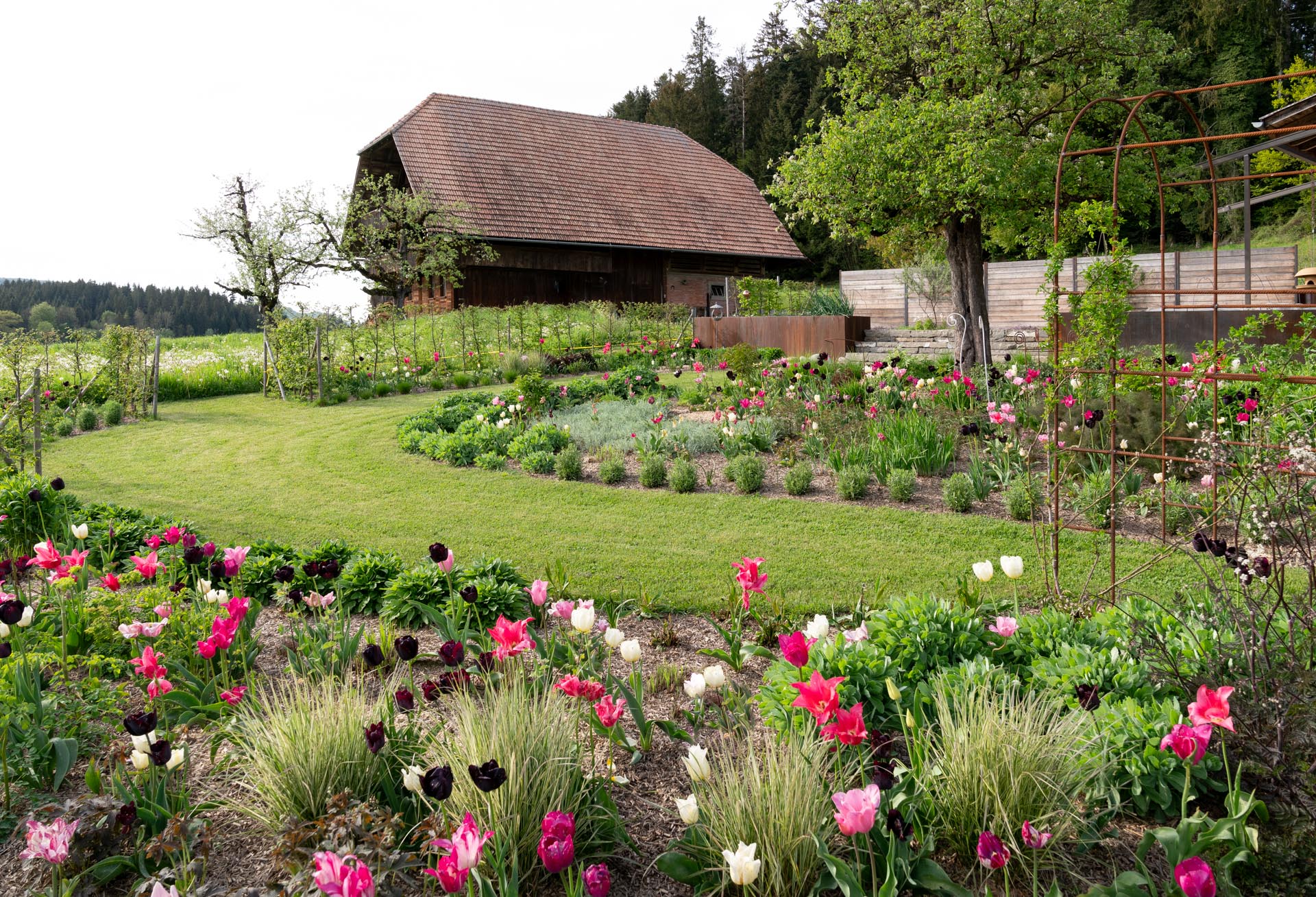 Blumengarten: Ein bunt blühender Garten eines Bauernhofs mit verschiedenen Blumenarten in voller Pracht.