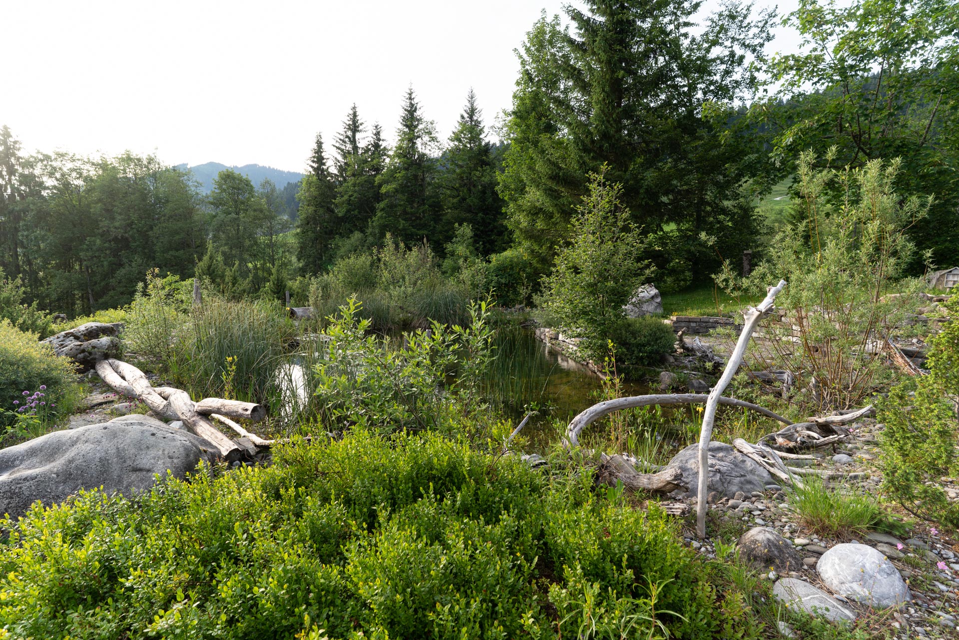 Naturgarten: Ein wilder, naturnaher Garten mit einheimischen Pflanzen und natürlichen Elementen in ländlicher Umgebung