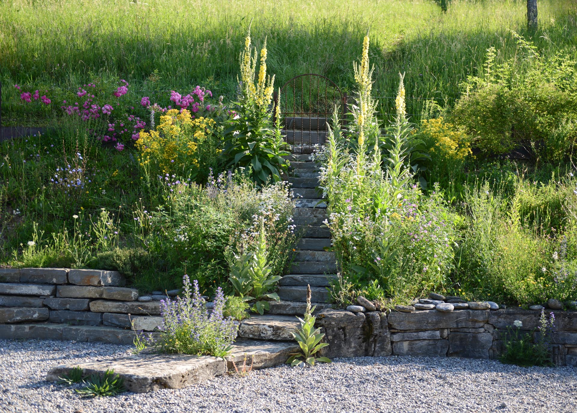 Natursteintreppe: Eine Treppe aus Natursteinen, die verschiedene Gartenebenen verbindet.